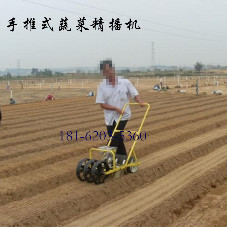 人力四行播种机价格 手提式播种机 菠菜精播机