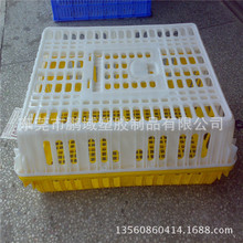批發江西柳州養殖白黃色新料PE塑膠雞鴨鵝籠 養殖運輸筐