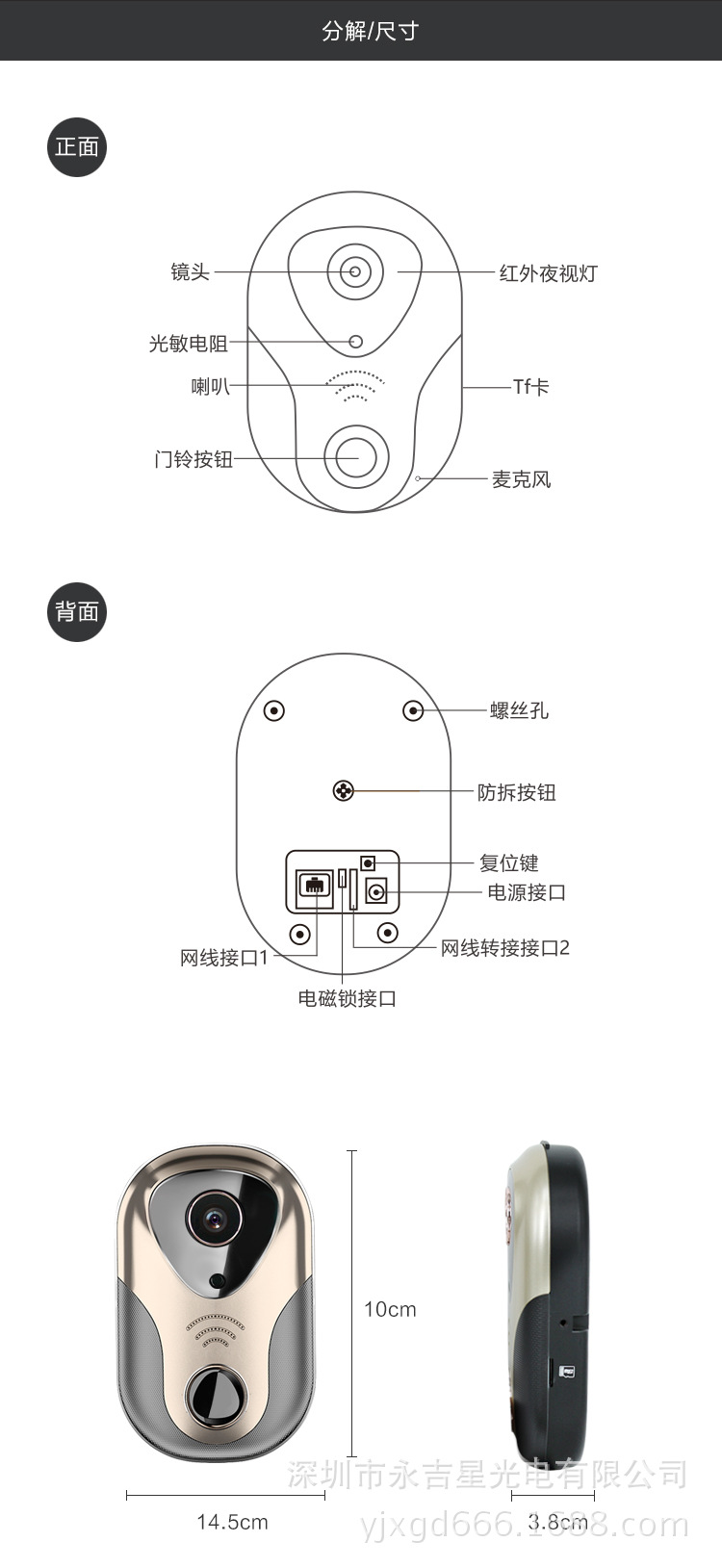 YL1主图11