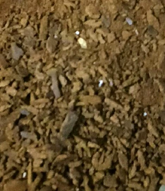 生物肥料;有机肥;叶面肥