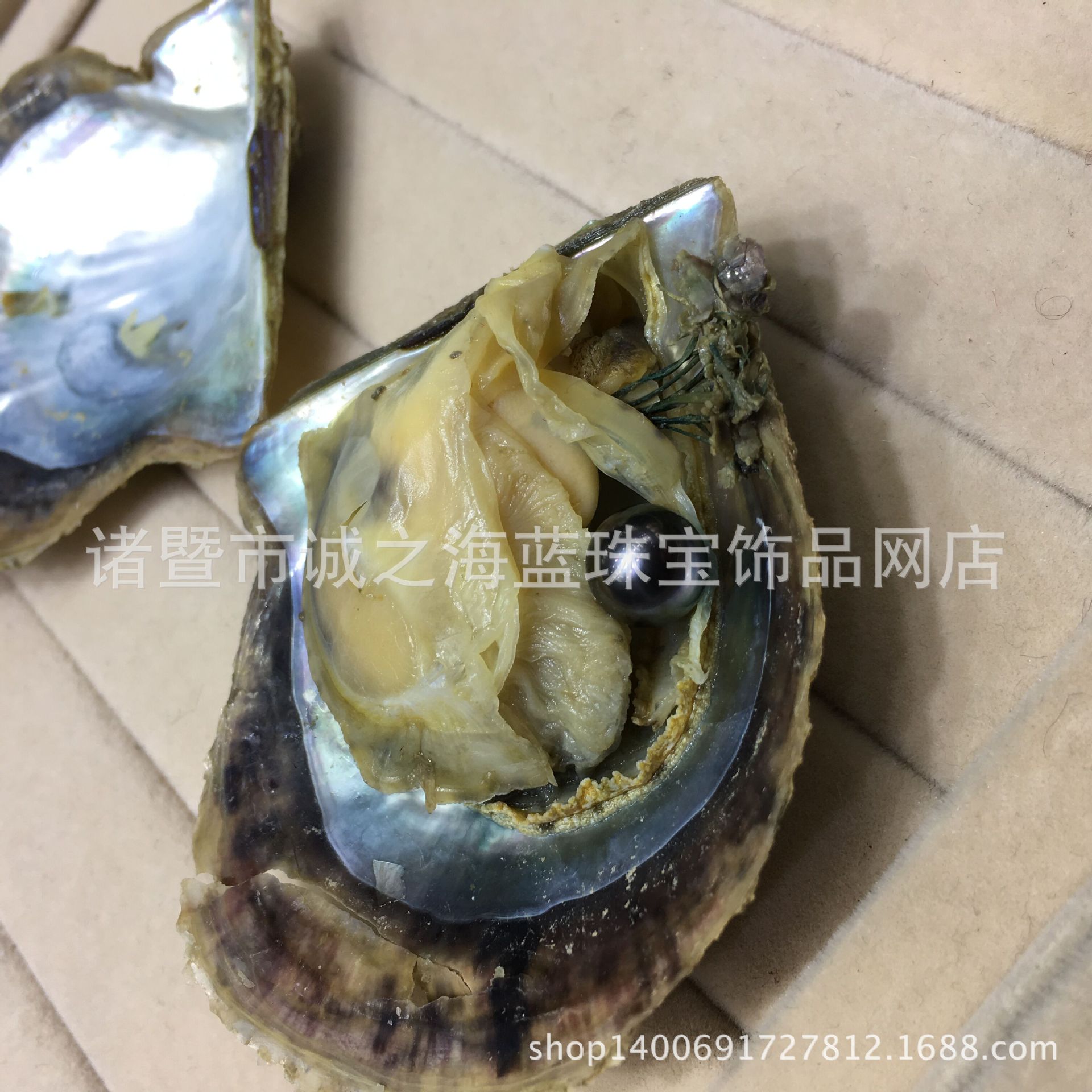 海蚌黑珍珠,(第10页)_大山谷图库