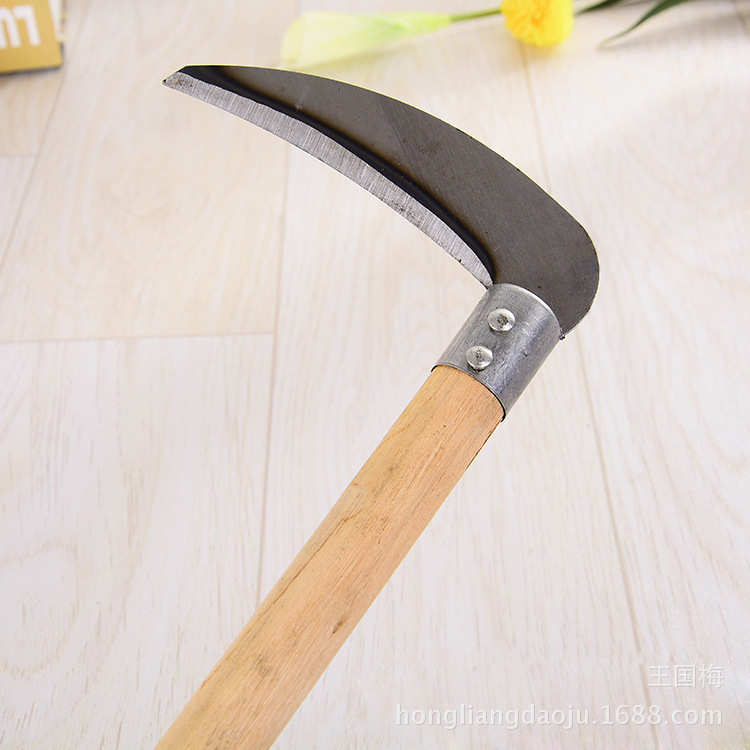 3939422744_2026407097