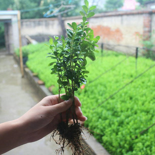 �S��������S����С�~�S������S��С���ļ�������ꎳ��GͥԺ�G�h