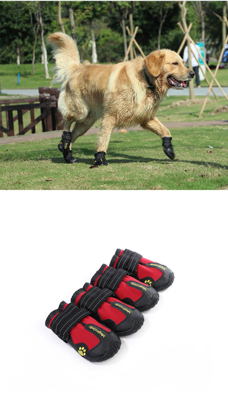 宠物鞋子新_r13_c1