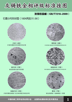 铸铁金相评级标准挂图 ( GB/T7216-2009)/(GB/T9441-2009)
