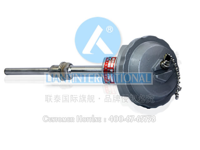 WZP2-280 双支铂热电阻 中天仪表 联泰