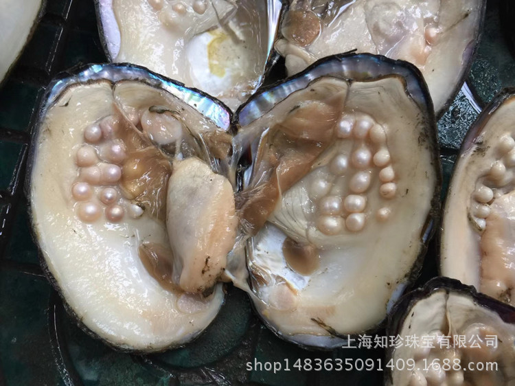 mmexport1509544237151