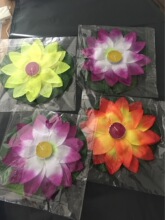 �z���ɻ��� ˮ�� �B���� ������ �S� �S��ֱ�N �|���ɿ�