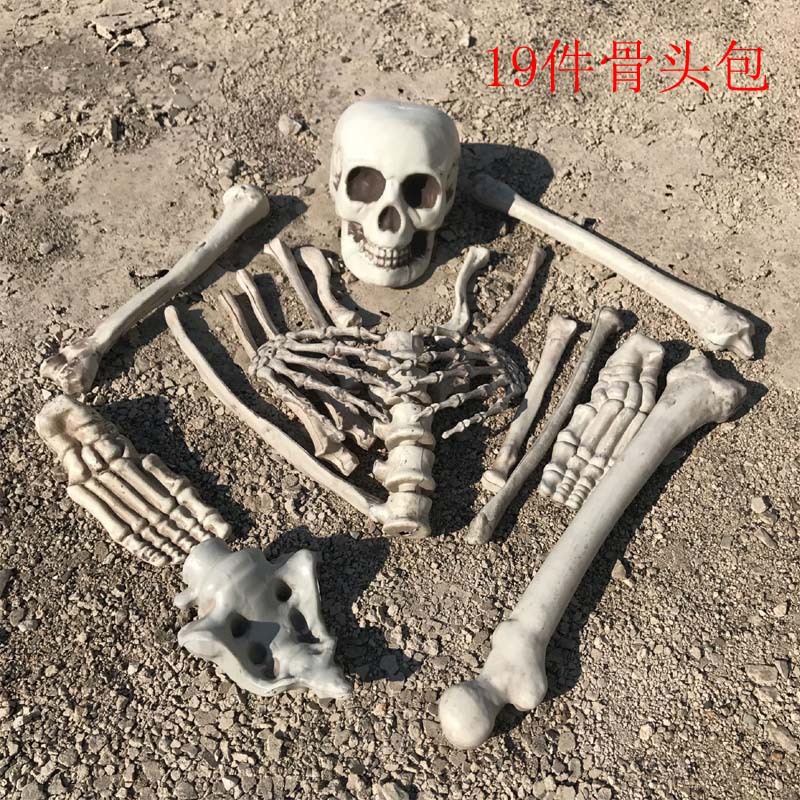 19件骨头包1