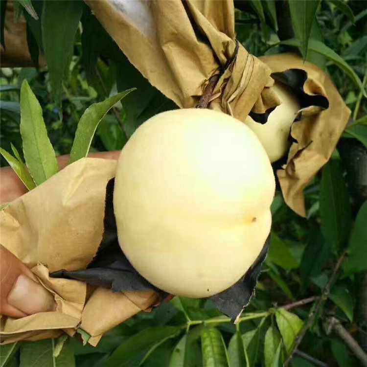 QQ图片20170802221028