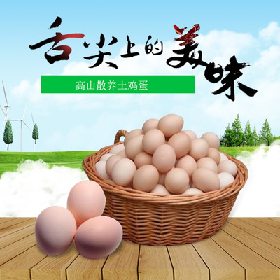 鸡蛋代发代发新鲜农场自养鸡蛋谷物喂养30枚包邮|ms