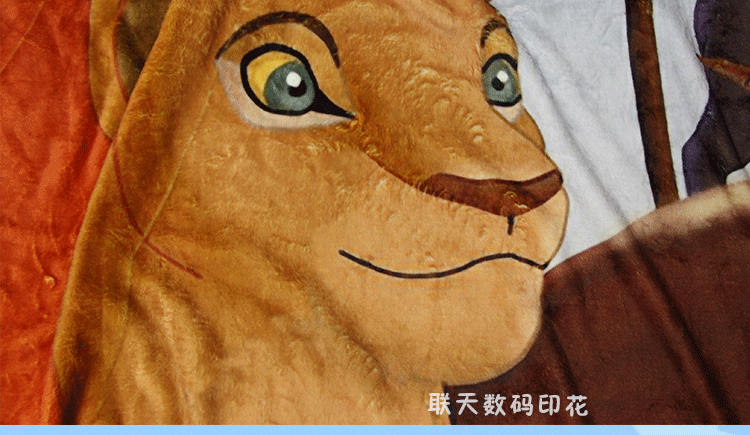 毛毯详情(联天水印截图)_13