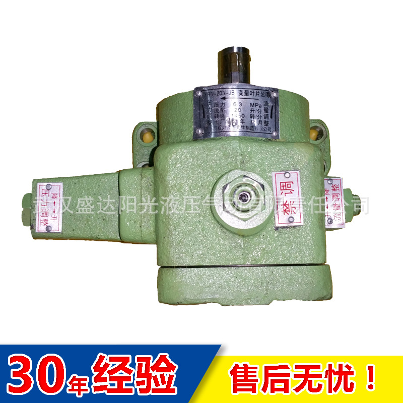 厂家直销 榆次 银川 YBP-40 YBP-40B 变量叶片泵 单级卧式叶片泵