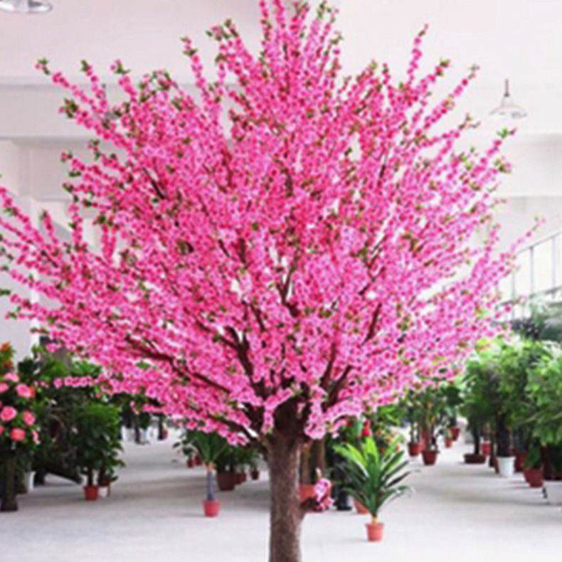 �Ƶ��������װ�μ������һ�����֦չ��������߷��ز�װ��