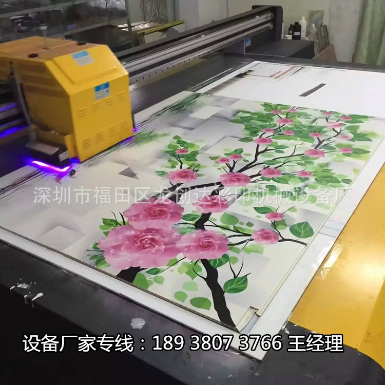 670018559344478443_����