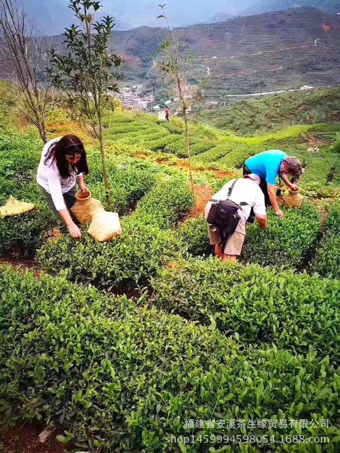 mmexport1507372531370