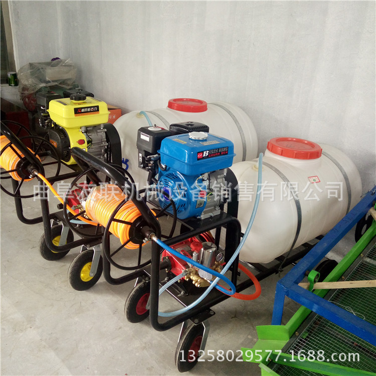 果园手推式打药机 高压汽油喷雾器 手推式果树喷药机