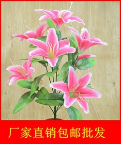 7头双层杆小百合