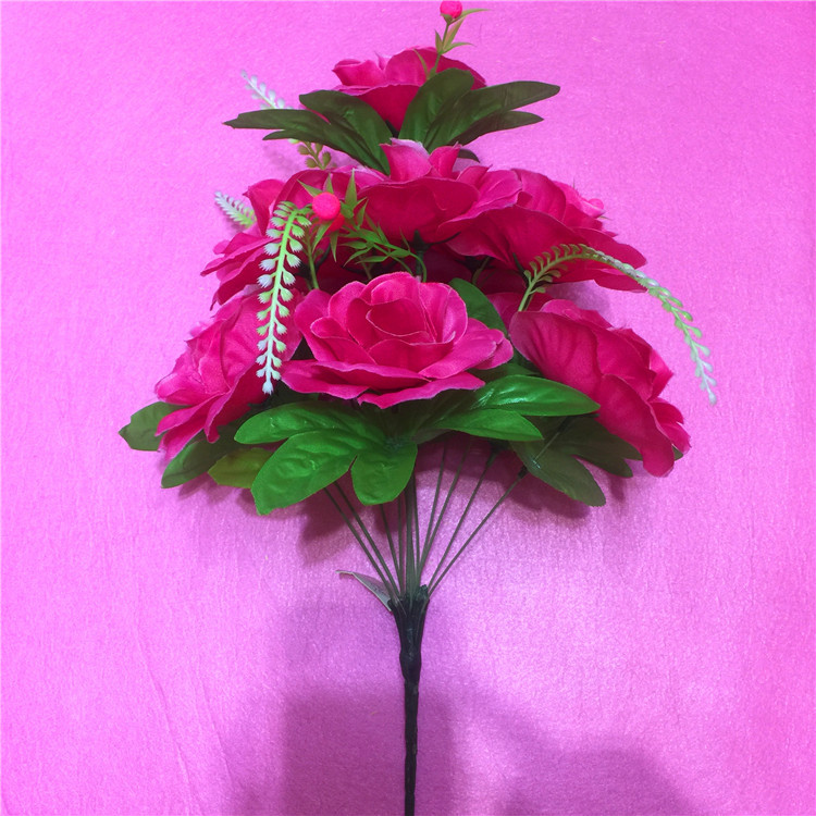 IMG_8454(20170816-153239)