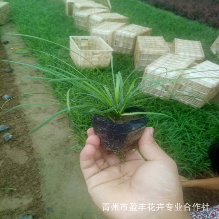 微信图片_20170829164404