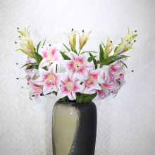 �S��ֱ�N ���滨����ٺ� 3D�ָаٺϻ��m��c�b�����