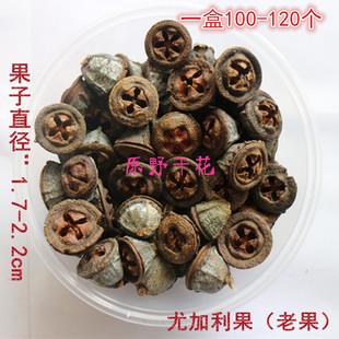 ���ȼ����������l��Ȼ�ɹ� �Ҿ��b� �{���  ��Ȼ�ɻ��؃r���l