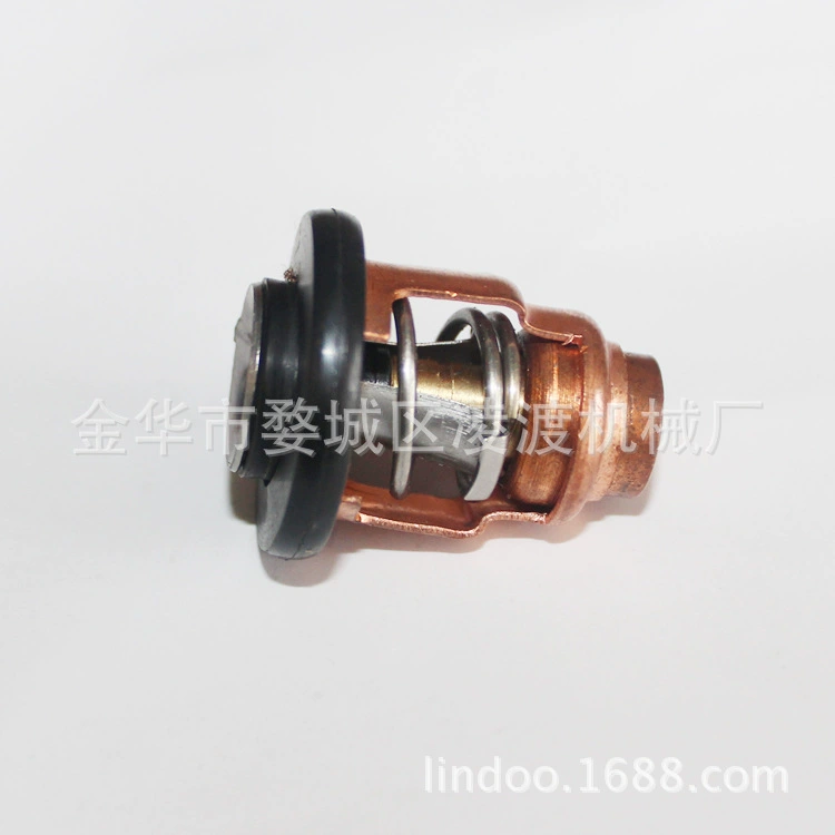 Подвесной термостат Baisheng от Lingxuan Yamaha Sea