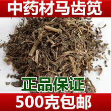 厂家直销中药材 马齿苋 马齿笕 干马齿菜 500克 2斤包邮