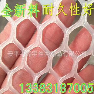 �S�����a ɢ�B�u���z���W �����Bֳ�W �ؾW ���ϻ����� 10������