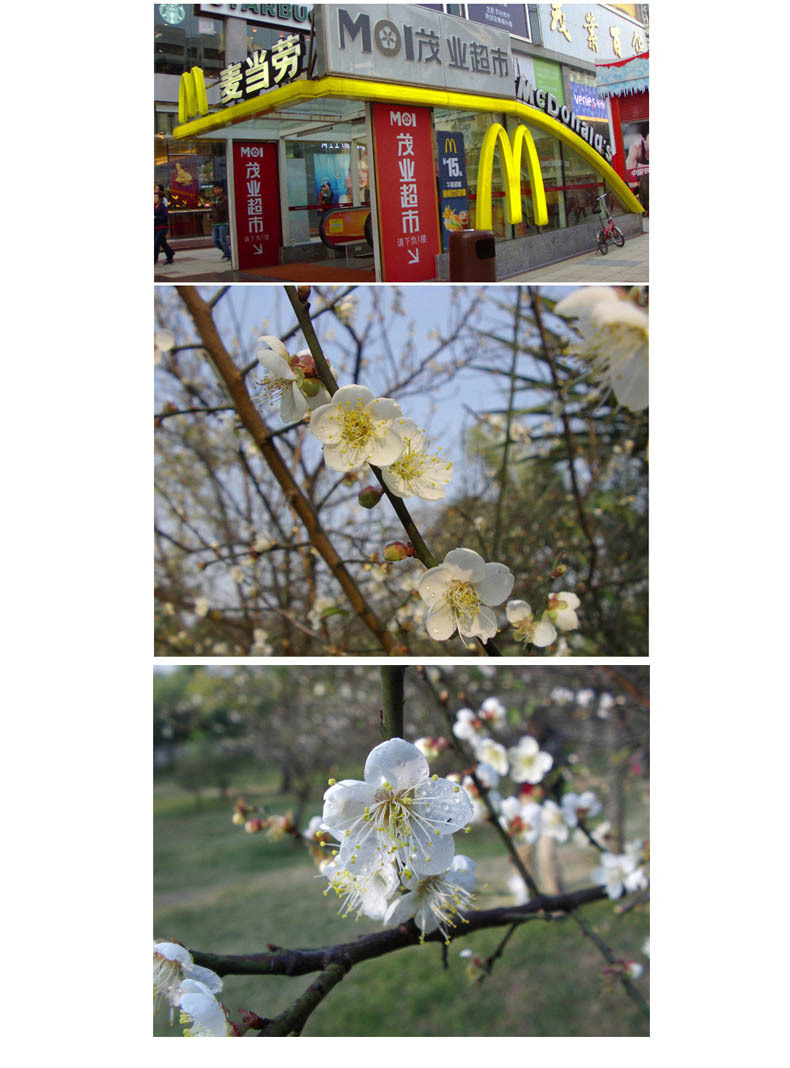 Flash Deal RICH C6 HD camera 16 million pixel anti-shake camera entry easy to use hand-held DV 14