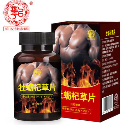 牡蛎杞草片 日研華以成人男性膳食營養食品深海牡蛎片 代理批發