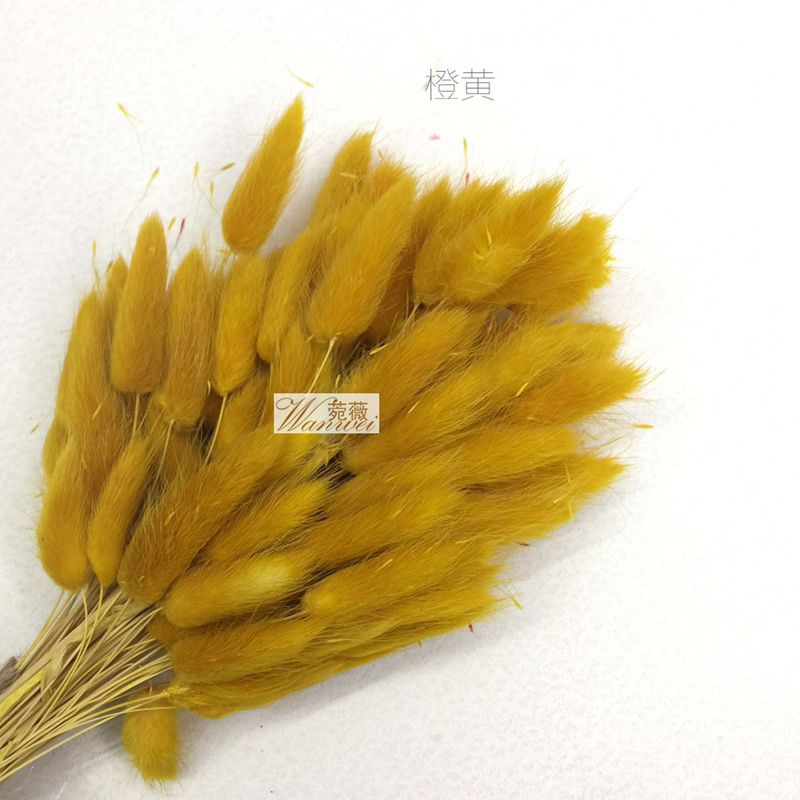 微信图片_20170521112040_副本