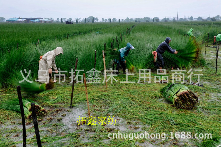 TB2.IJOqXXXXXapXXXXXXXXXXXX_!!