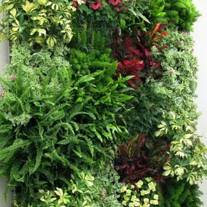 ��ֱֲ��ǽ���滨ǽֲ����������װ��ǽ����ɫֲ�����廯װ��