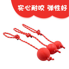 Dog Training Bite Resistant Ball Solid Pet Bouncy Ball Rope Portable Solid Ball Pet Toy
