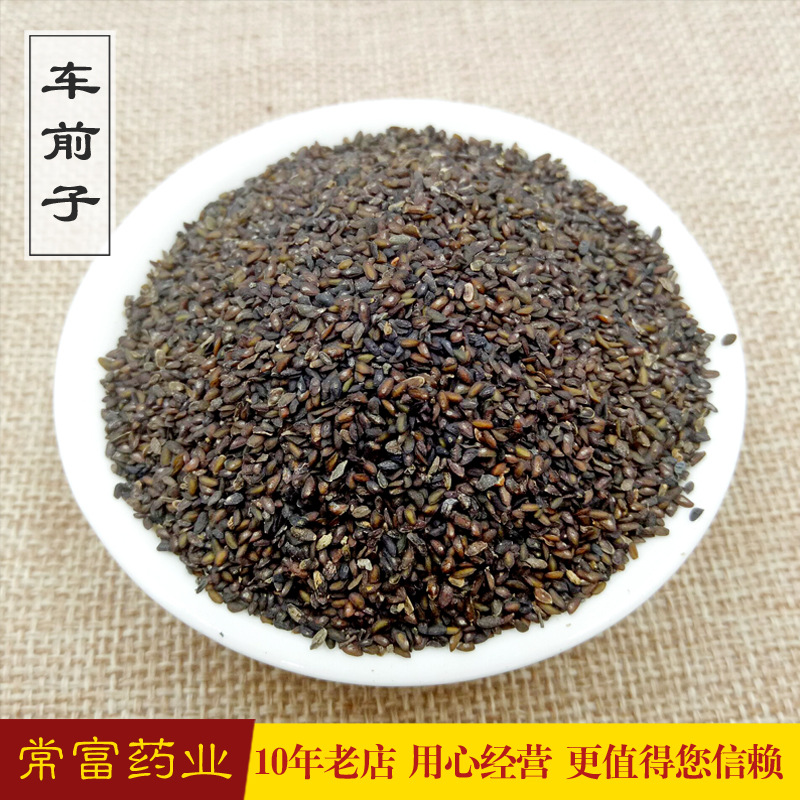 Changfu Traditional Chinese Medicine Plantago Plantago seed powder Clean without magazines Full particles Seed goods in stock