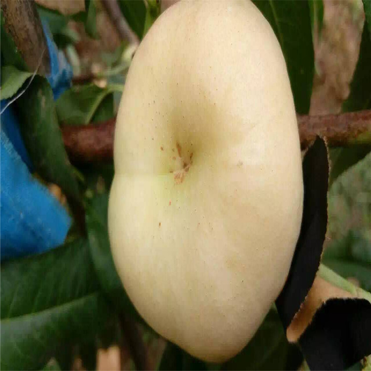 QQ图片20170802213554