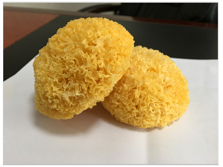 丑耳品介绍补充7