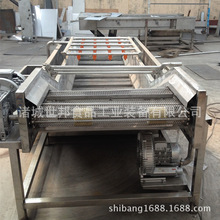 厂家直供菜花清洗机桑芽菜清洗加臭氧功能荷叶茶清洗烘干流水线
