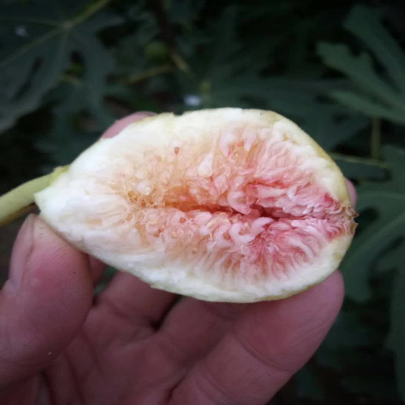 寰俊鍥剧墖_20171105152914_鍓湰