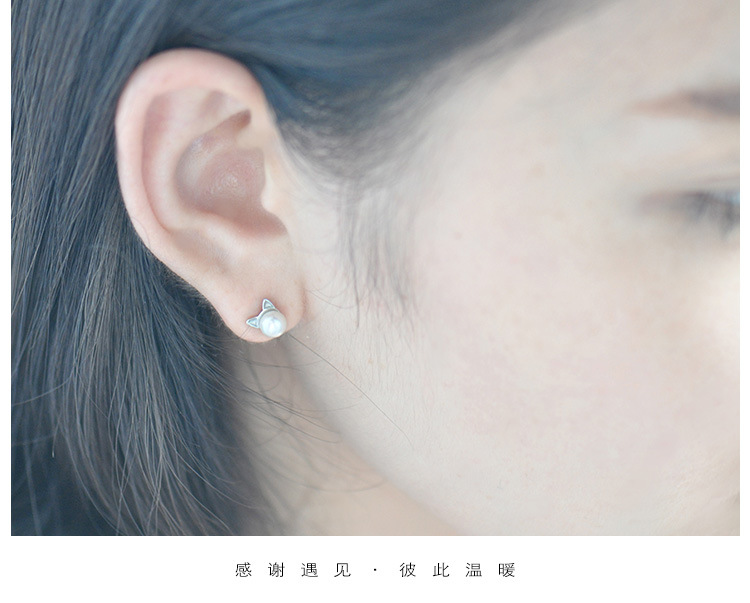 Silver Simple Animal earring(Empty earrings) NHDY0020-Empty earrings