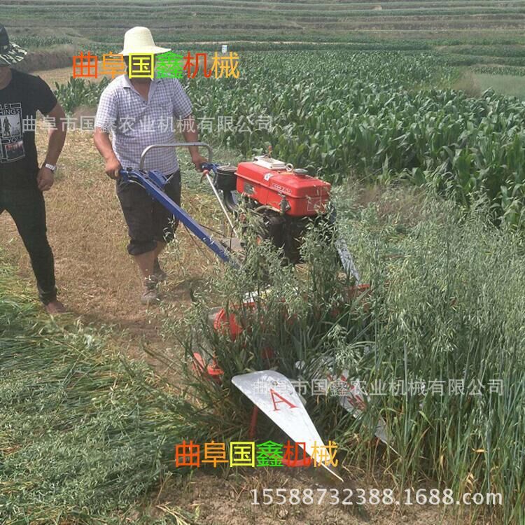 衡水轻便式辣椒收获机