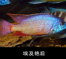 �������� �R�� �����G�� �^�p�~ �Ꭷ�~ ��ˮ�~