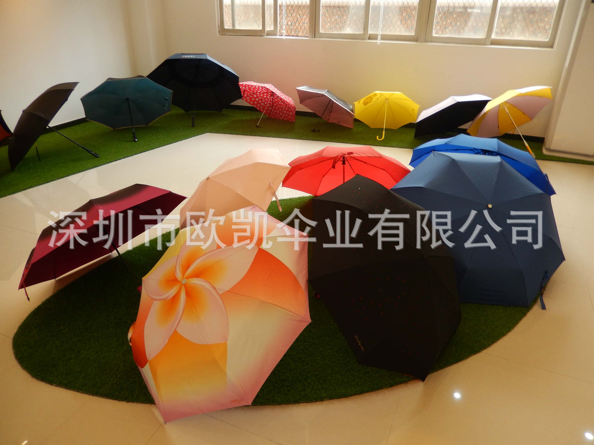 DSCN2700