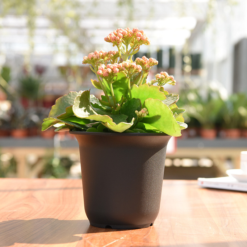 Gudao westerly plastic flowerpot factory direct GD-2014 large fleshy round basin large quantity discount of about 76g