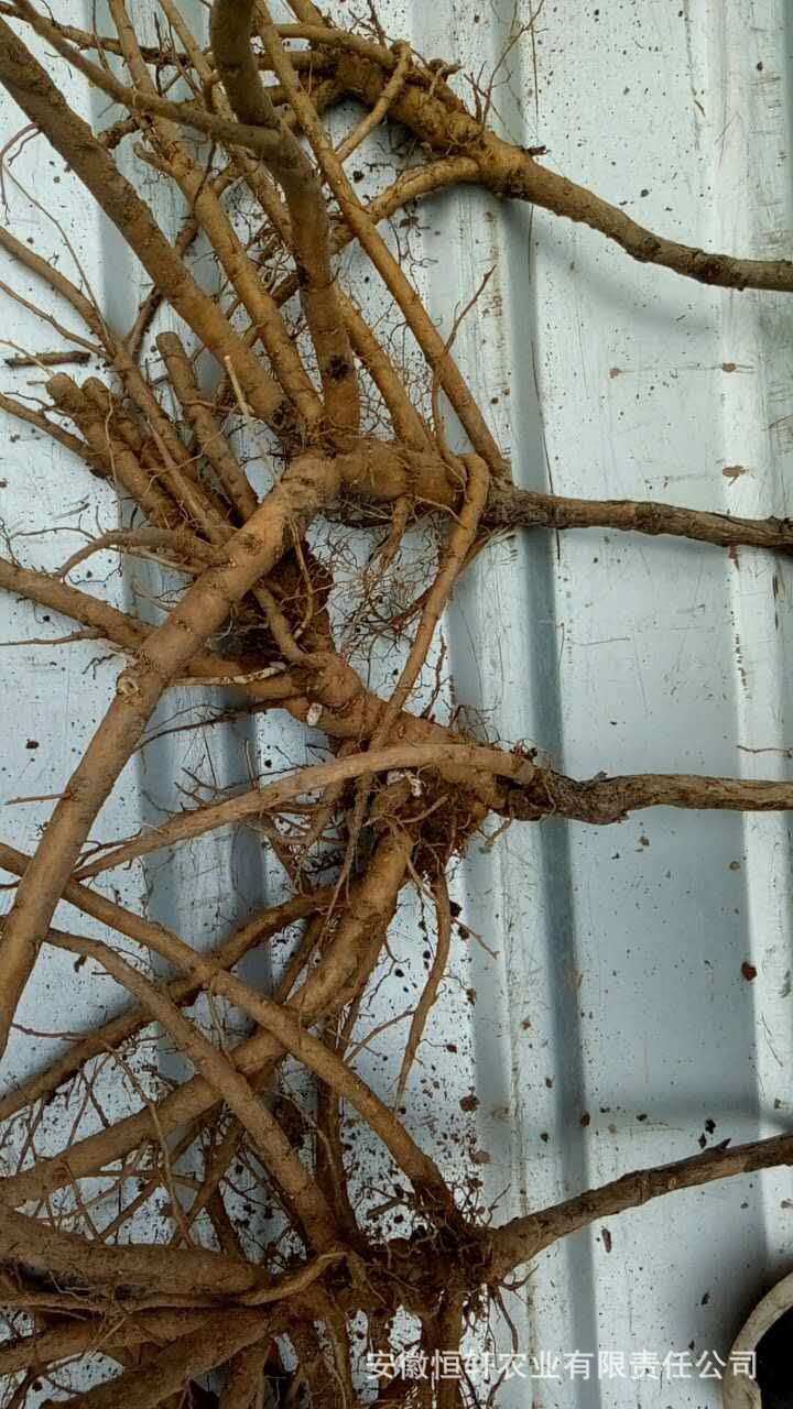 微信图片_201709201001232