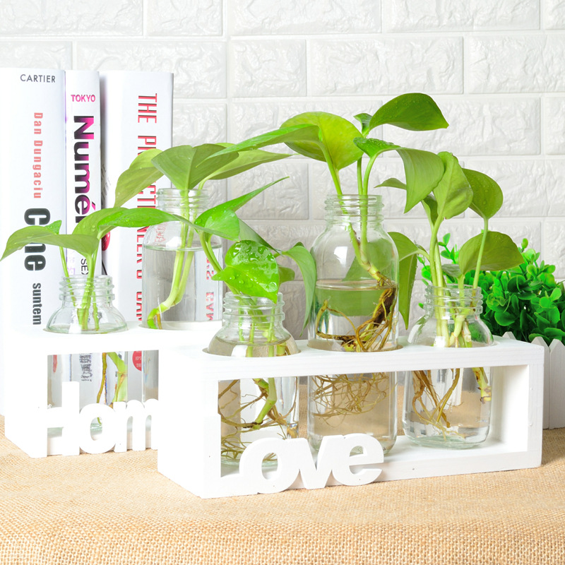 originality Gallows Hydroponics Container Scindapsus Botany Glass flower a living room vase Office desktop Decoration