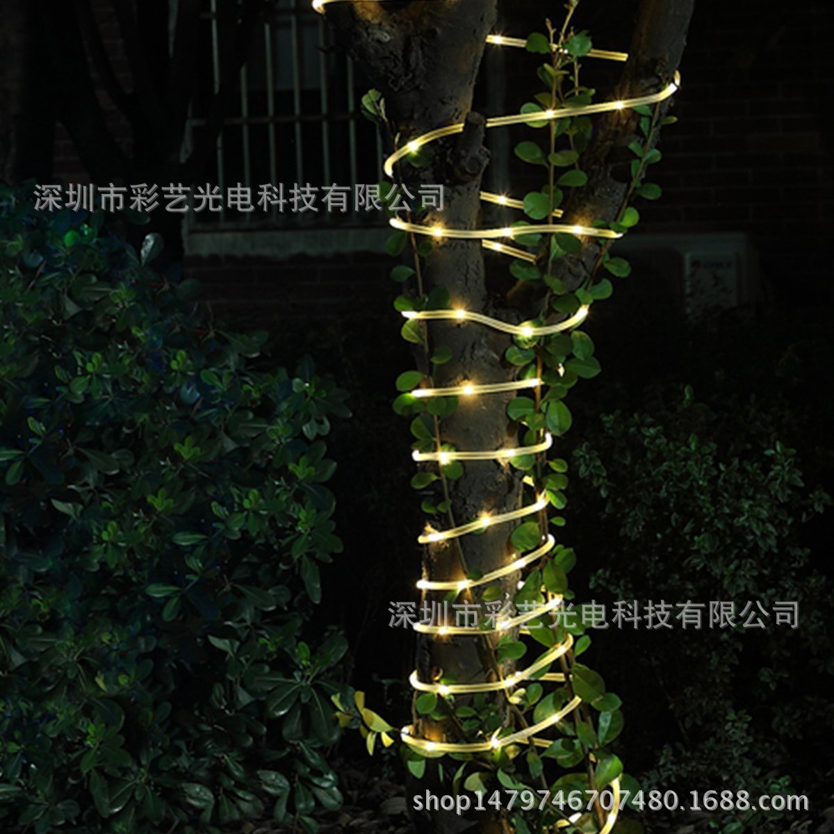 71U+SzwxB1L._SL1200_