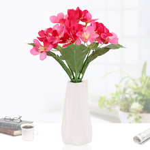 ����5�^25������ޥ�m���� ���ϔ[���Gֲ�ٻ�������� �S��ֱ�N