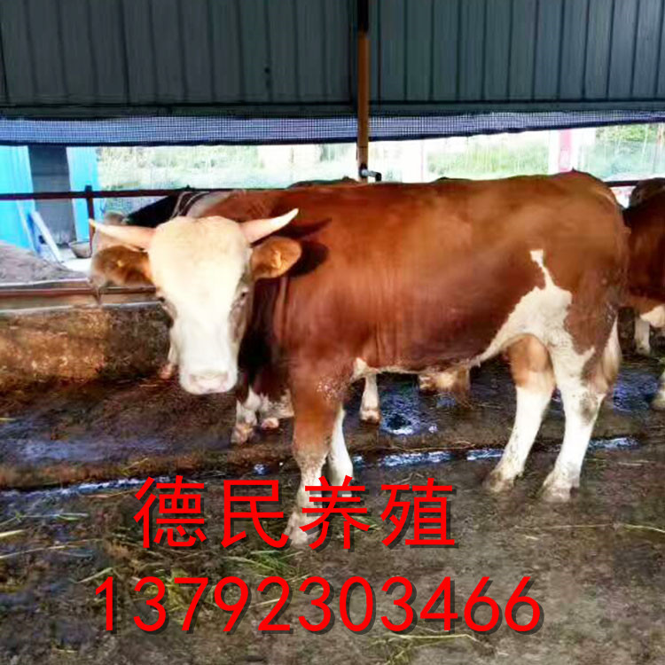 主_0011_微信图片_20170515082832